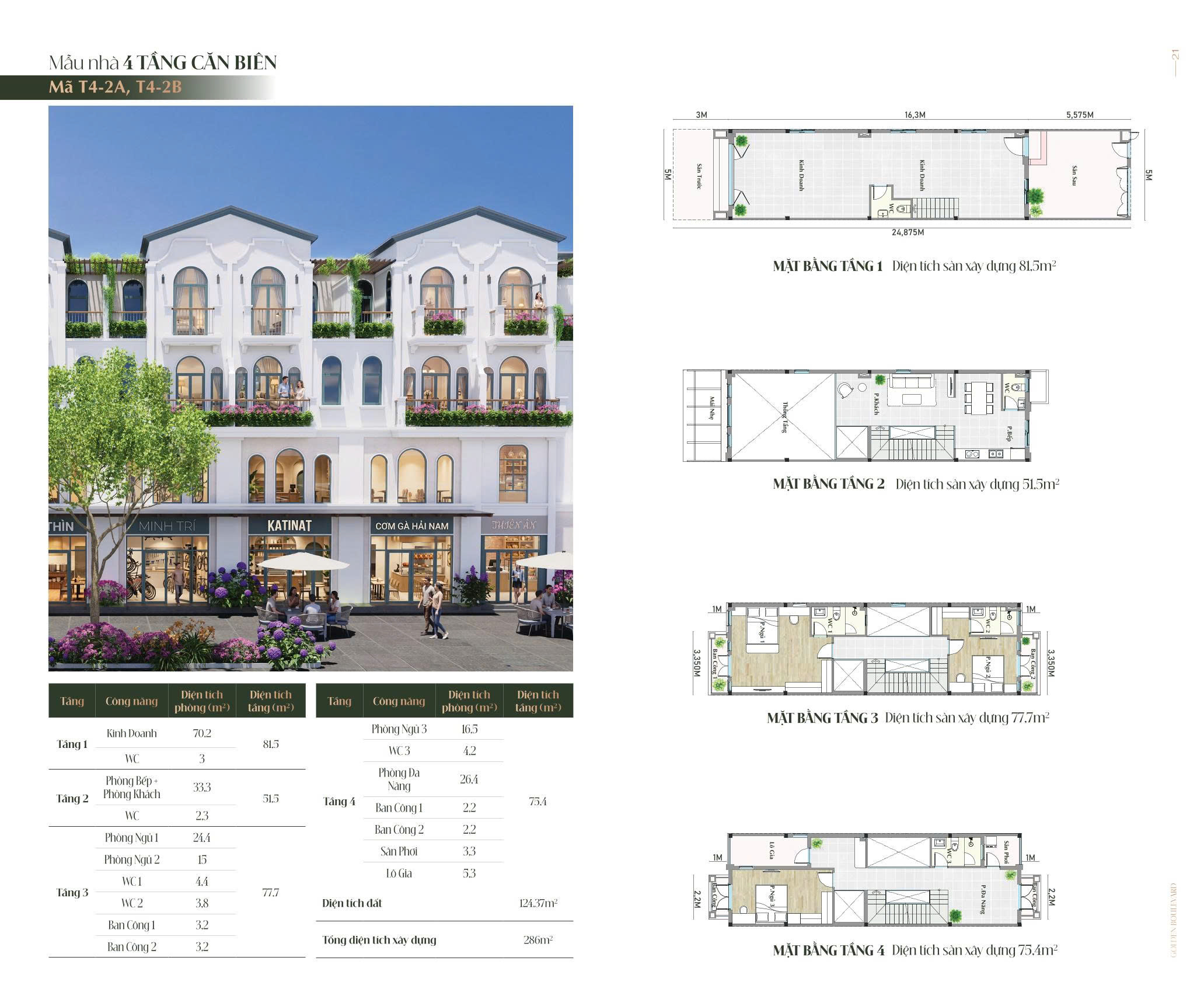 mẫu nhà shophouse TDC Hòa Lợi